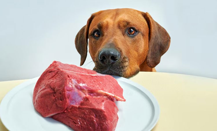 Uncooked meat