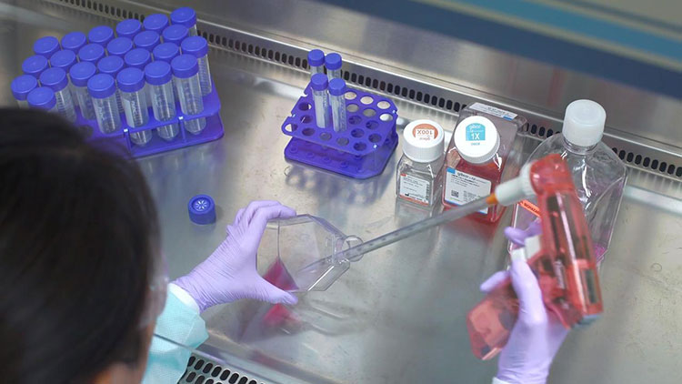 Use sterile tools