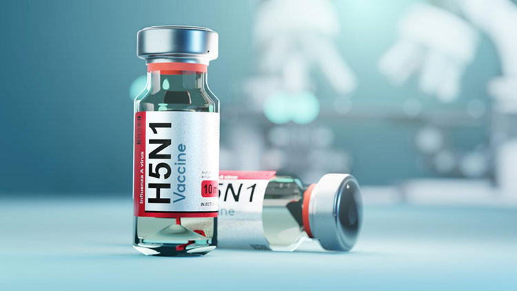 Vaccine Preparation