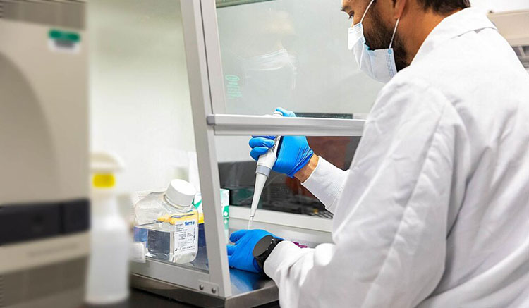 Veterinary Academic Institutes