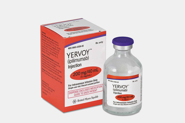 Yervoy-ipilimumab