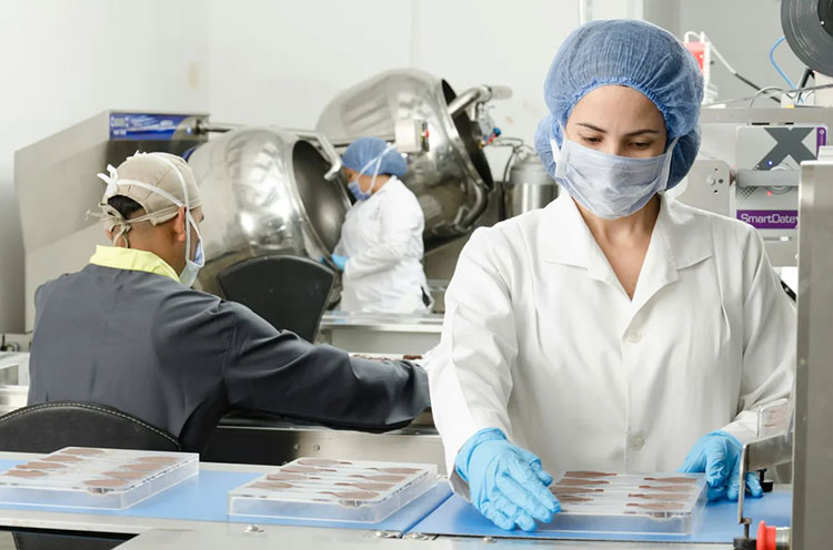 basic steps of protein manufacturing