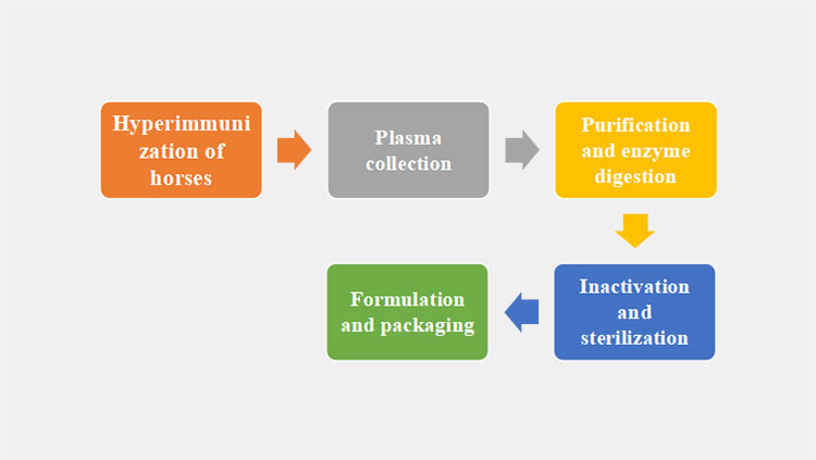 rabies immunoglobulin-2