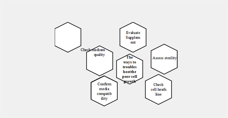 troubleshoot the poor cell growth
