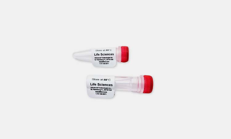 AMV Reverse Transcriptase in Trehalose