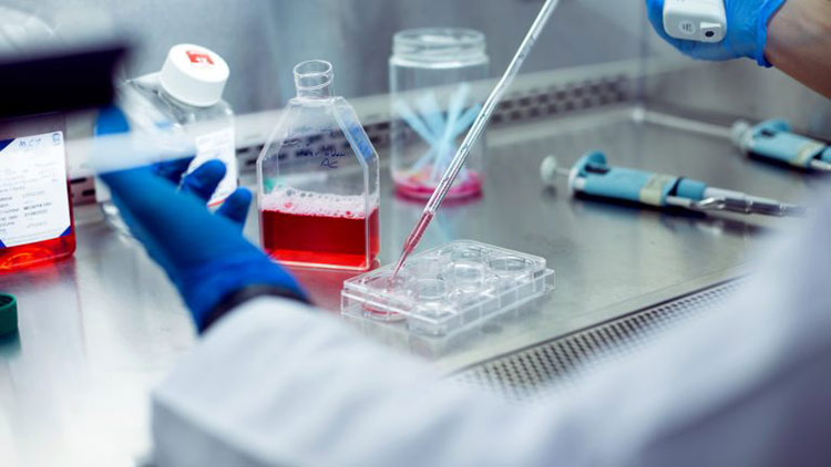 Accelerating the research