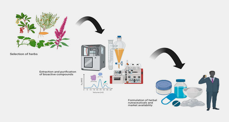 Active Ingredients