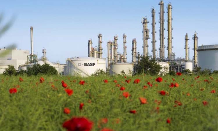 BASF