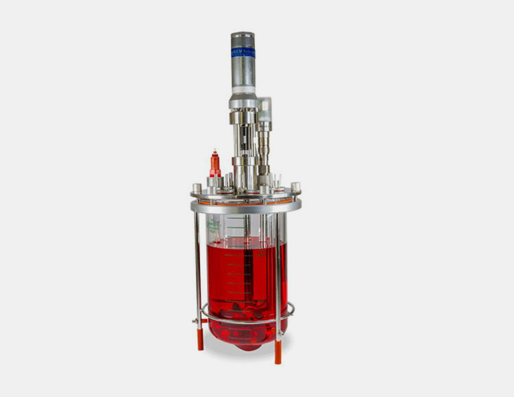 Bioreactor