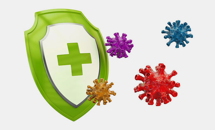 Boost Immunity