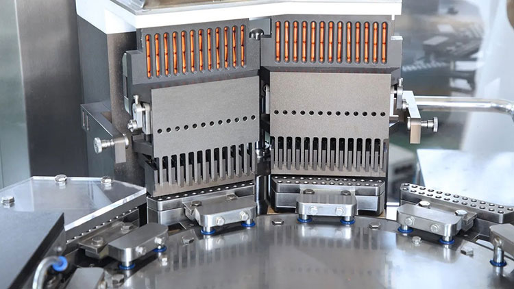 Capsule filling and sealing