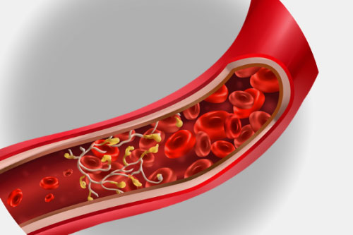 Conversion to nitric oxide