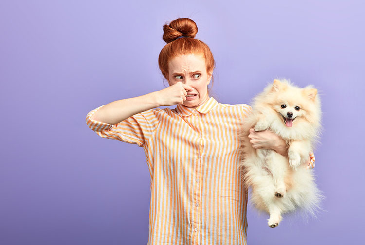 Discharge and bad smell