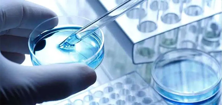 Drug Development