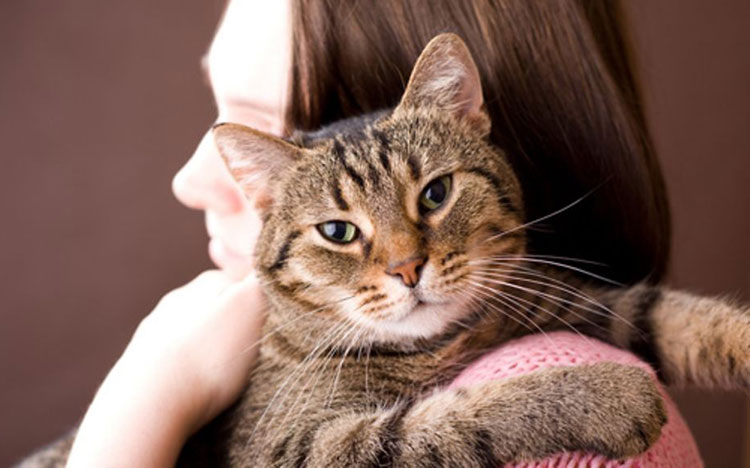 End with cuddle or their favorite treat