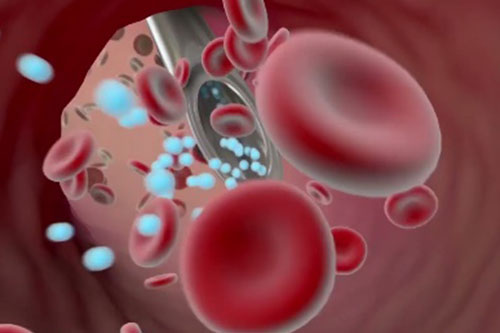 Enters your bloodstream