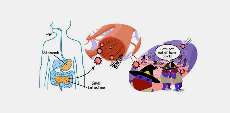 Fast absorption