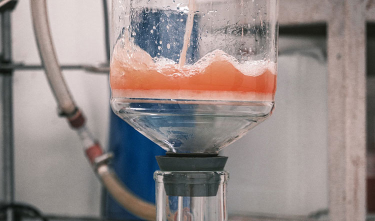 Filtration and pH adjustment