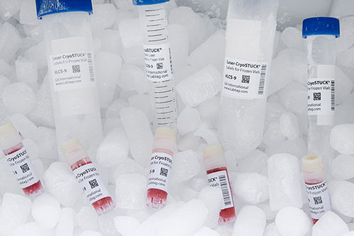 Freezing rate