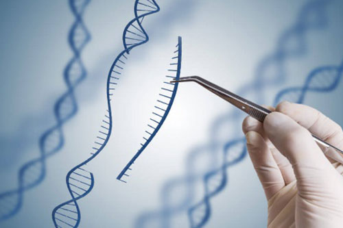 Gene cloning