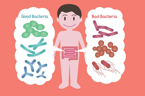 Imbalance the natural bacteria