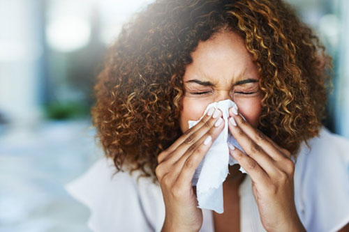 Indoor Allergies