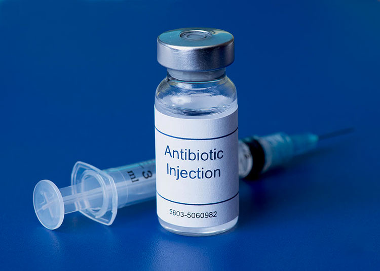 Injectable Antibiotic Solution