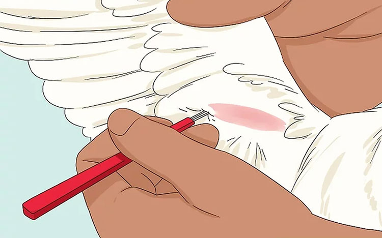 Injection site