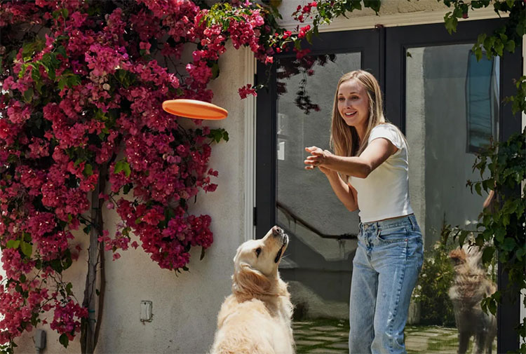 Liquid Collagen For Dogs Secures Healthy Life Style Of Your Dog
