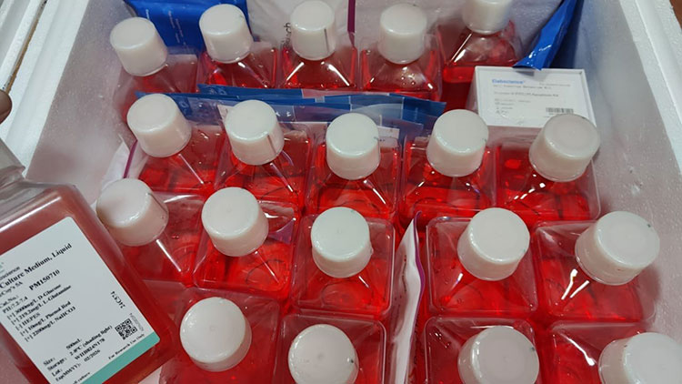 Manufacturing Process Of Cell Culture Freezing Medium