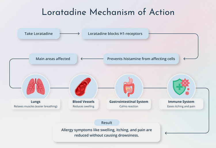 Mechanism of action of loratadine syrup
