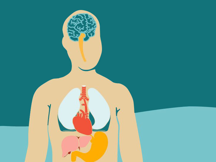 People having hyperkalemia