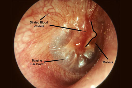 Picture Courtesy Govern Medical School