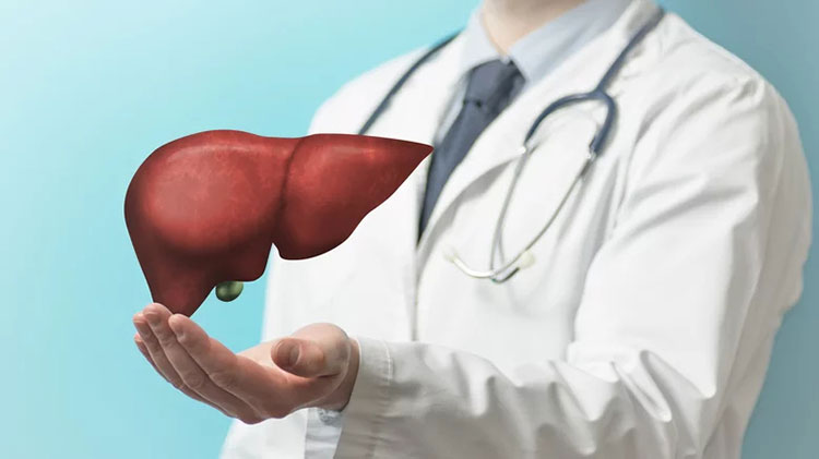 Protecting liver from destruction