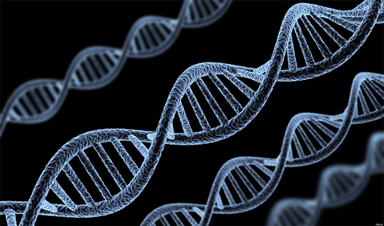 RNA structure