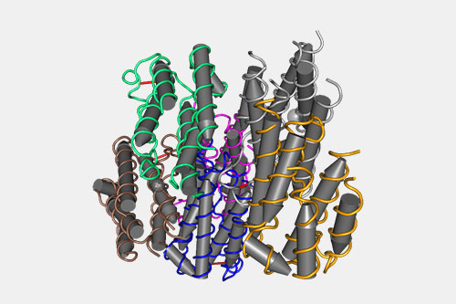 Recombinant interferon
