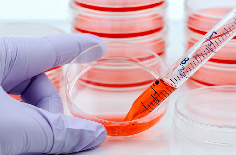Recovery Cell Culture Freezing Medium