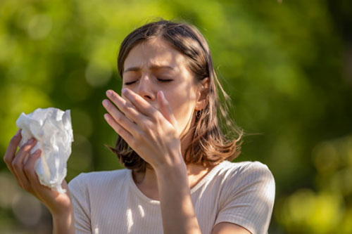 Seasonal Allergies