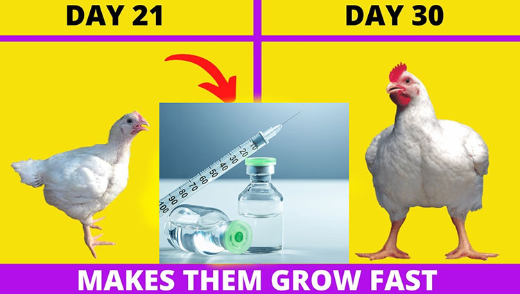 Speed up growth rate