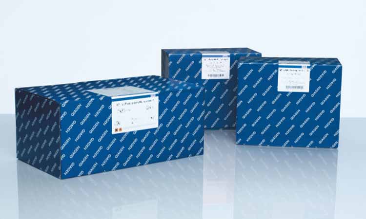 Tailing Enzyme Mix