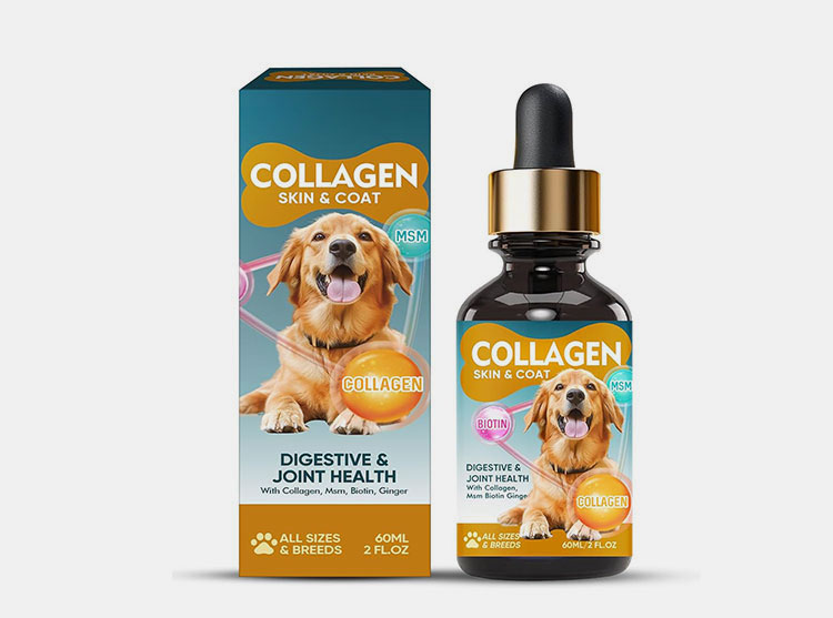 Things You Need To Look Before Buying Liquid Collagen For Dogs