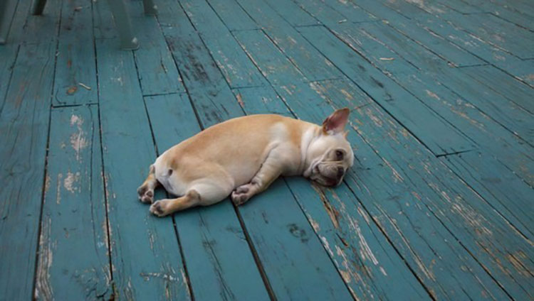 Tiredness