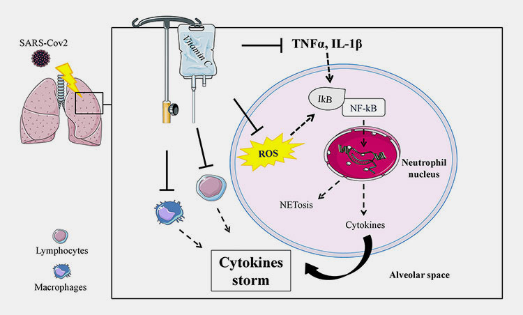 Working principle of injectable vitamin c