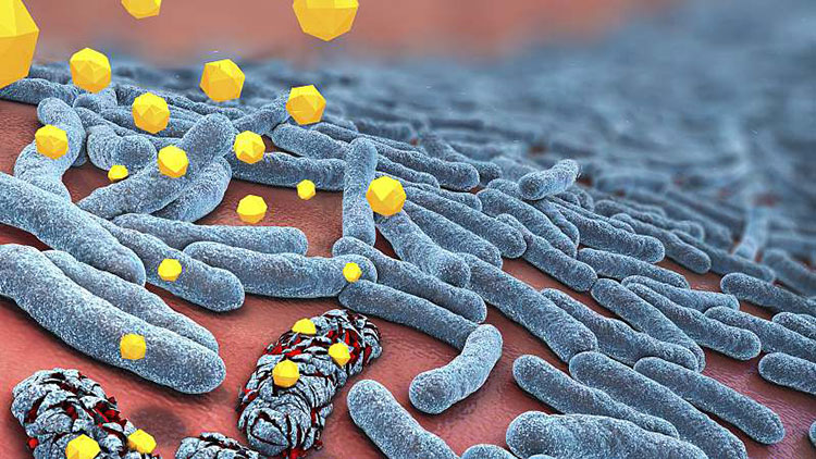 an antibiotic solution work