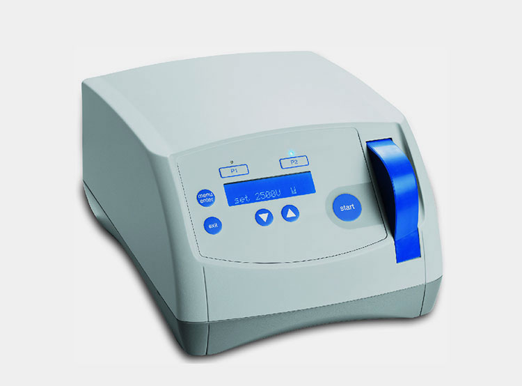 cell line