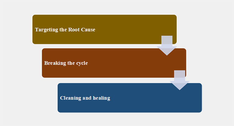 ear drop for dogs’ work
