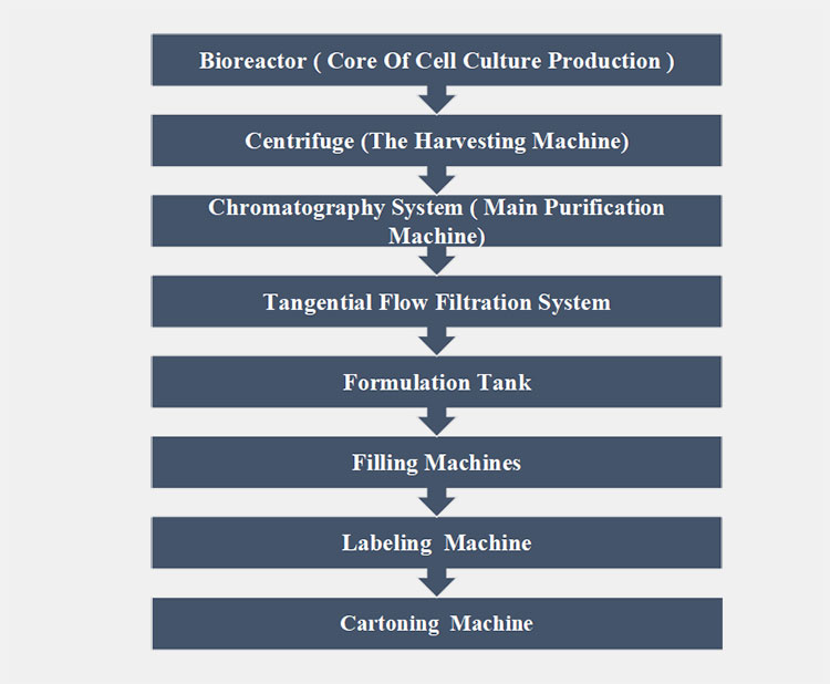 manufacturing of CGRP monoclonal antibodies