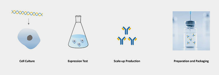 the monoclonal antibodies for dogs