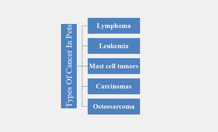 types of cancer in pets