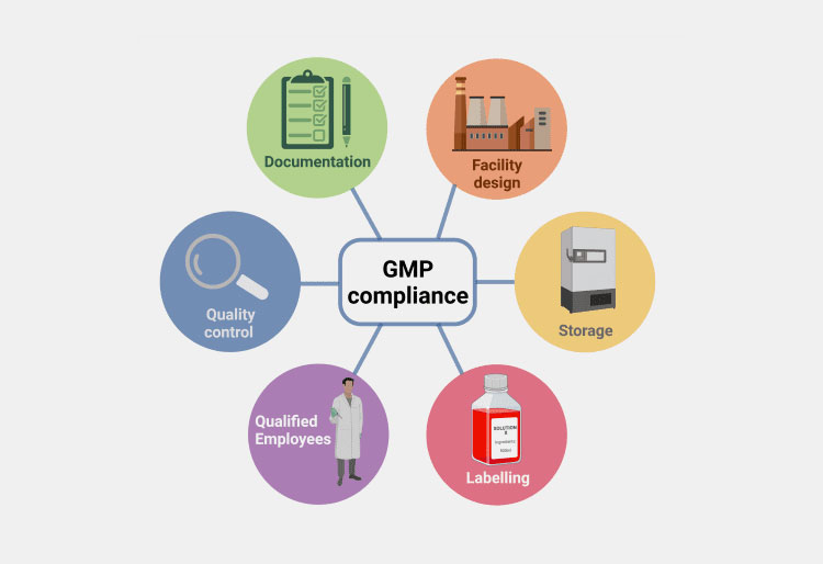 BFS and GMP compliance